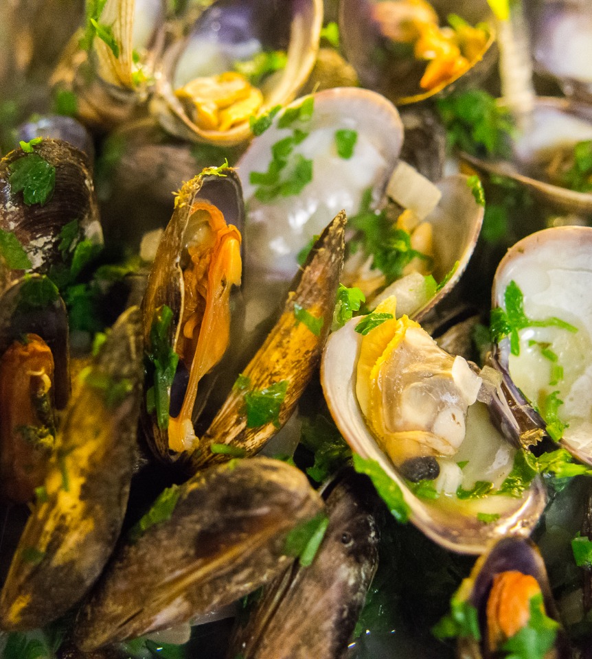 μύδια θαλασσινα όστρακα seashells mussels